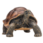 Želva obrovská figurka