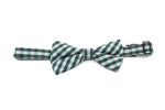 Britain zelený károvaný motýlek pro psa | 20 - 44 cm Barva: Zelená