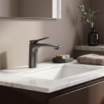 REA - Umyvadlová baterie PREMIUM Vision Titan Low REA-B8930