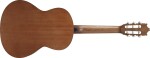 Ibanez GA2 Amber