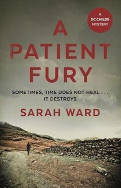 A Patient Fury - Sarah Ward