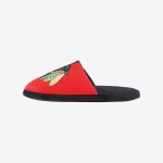 FOCO Pánské pantofle Chicago Blackhawks Team Logo Staycation Slipper Velikost: EU