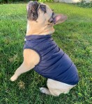 Navy zimní bunda pro psa s kožíškem Barva: Červená, Délka zad (cm): 40, Obvod hrudníku: 60 - 63 cm