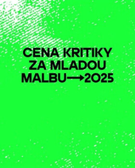 Cena kritiky za mladou malbu 2025 - Patrik Svoboda, Vlasta Čiháková-Noshirová, Michal Stolárik, Lucie Svoboda Mičíková