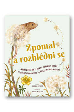 Zpomal rozhlédni se