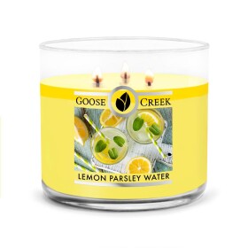 Goose Creek - Citrónová voda s pažitkou Aromatická svíčka ve skle 411 g