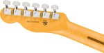 Fender American Professional Telecaster MN BLK