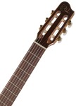 Godin Arena Mahogany CW Clasica II