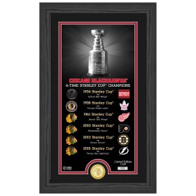 Obraz Chicago Blackhawks NHL Stanley Cup Legacy Bronze Coin