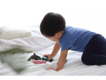 PlanToys PlanToys Set - Mořská zvířata