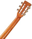 Tanglewood TJ8E
