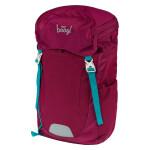 Outdoorový batoh BAAGL Tracker - Roj