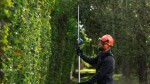 Aku teleskopický plotostřih Bosch GHE 18V-50 TP 06008D5000