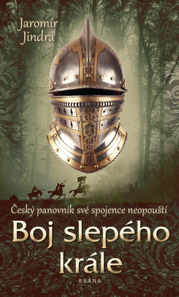 Boj slepého krále - Jaromír Jindra