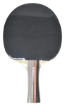RULYT Pálka na stolní tenis 3ST-02 / Dřevo topol 7 mm / Houba 1,8 mm / Anatomická rukojeť