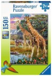 Ravensburger