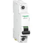 Schneider Electric A9N61508 A9N61508 elektrický jistič 10 A 250 V/DC