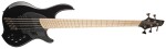 Dingwall NG3 Nolly Signature 5 MN Metallic Black