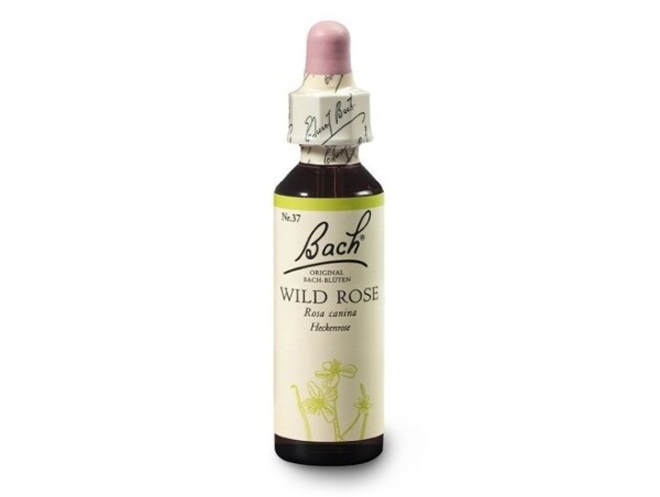 Planá šípková růže (Wild Rose) 20 ml- Bachovy esence Dr.Bach