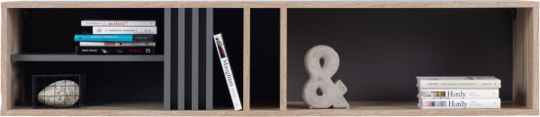 Police AllMo AL11 Barva korpusu + barva dveří: Dub Estena + Antracit