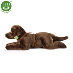 Eco-Friendly RAPPA pes labrador 61 cm