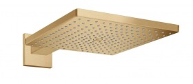 HANSGROHE - Raindance E Hlavová sprcha, 30x30 cm, EcoSmart, kartáčovaný bronz 26239140