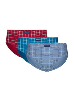 KLASICKÉ SPODNÍ KALHOTKY 3 KS 1446 K703 AW26 BLUE-BORDO XL