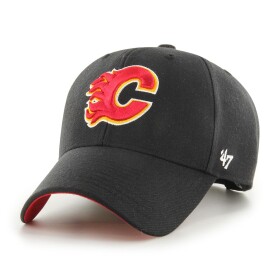 Calgary Flames Ballpark