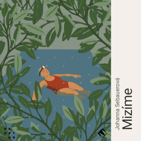 Mizíme - Johanna Sebauerová - audiokniha