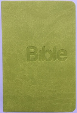 Bible, překlad 21. století (Green) - Alexandr Flek