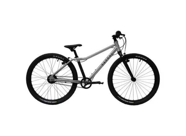 Rascal 24 2022 - Rascal 24 3 sp. Shimano Nexus dětské kolo Titan