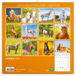 Kalendář 2024 poznámkový: Koně - Christiane Slawik, 30 × 30 cm