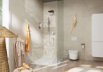 HANSGROHE - AddStoris Držák toaletního papíru s poličkou, chrom 41772000