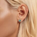 Stříbrné náušnice Mořská Hvězdice - stříbro 925/1000, Stříbrná