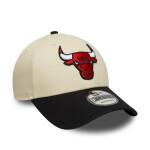 New Era Pánská kšiltovka Chicago Bulls NBA 940 Colourblock