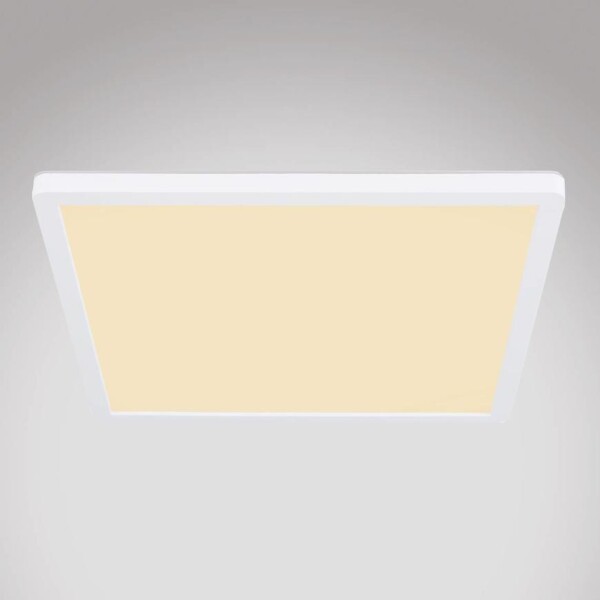 Stropní svítidlo 41563-24W LED bílý PL
