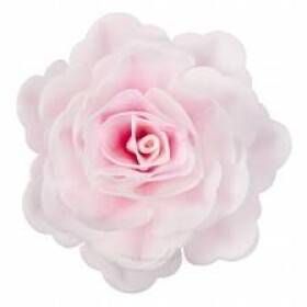 Dortisimo Dekorace z jedlého papíru Růže čínská stínovaná růžová (1 ks)