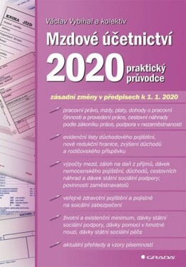Mzdové účetnictví 2020 - praktický průvodce - Václav Vybíhal