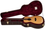 Cort Abstract Delta NAT