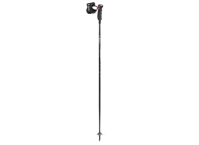 Leki Artena Airfoil 3D sjezdové hole Black/Dark Anthracite/Rosegold 115 cm