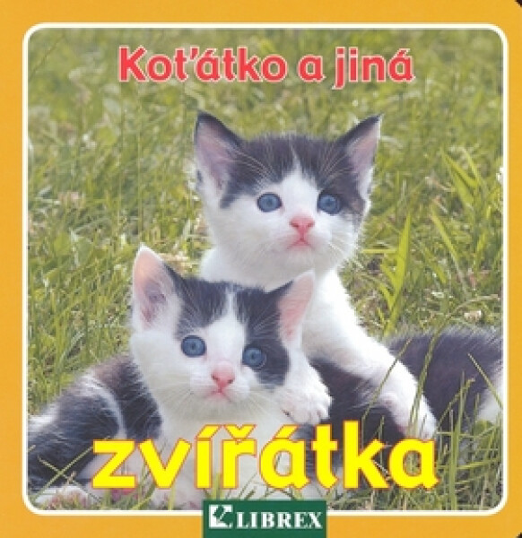 Koťátko jiná zvířátka