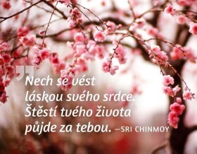 Magnet na lednici - Nech se vést láskou svého srdce. Štěstí tvého života půjde za tebou. - Sri Chinmoy