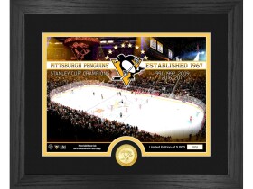 Highland Mint Obraz Pittsburgh Penguins NHL Team Stadium Bronze Coin Photo Mint