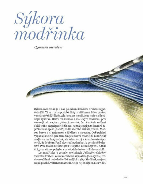 Ptačí duše - Pavlína Kourková