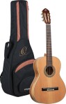 Ortega R20GSNRG