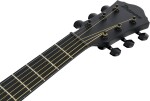 Ibanez AEWC621L BOT
