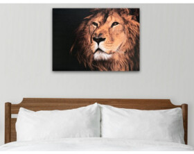 Obraz na plátně Král zvířat, 70x50 cm