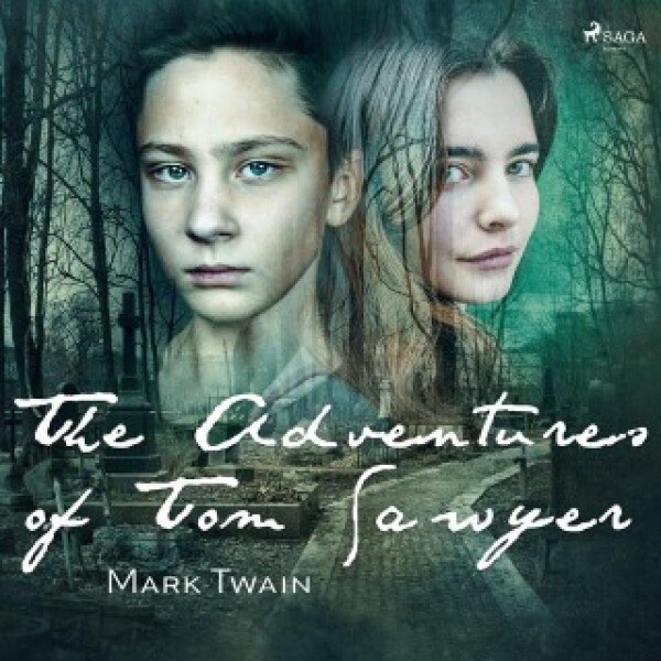 The Adventures of Tom Sawyer - Mark Twain - e-kniha