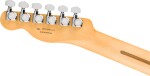 Fender Player II Modified Telecaster RW DSK