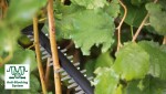 Elektrické nůžky na živý plot Bosch UniversalHedgeCut 50 06008C0501